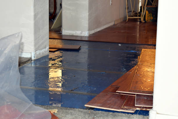 Professional Flood Cleanup technician working in Roy, WA