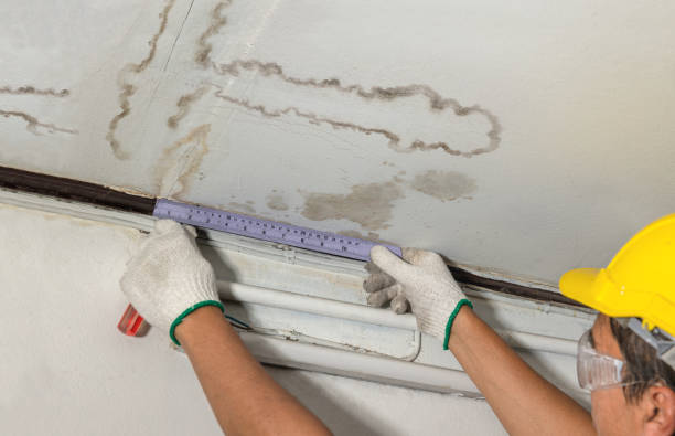 Reliable Flood Cleanup contractor in Roy, WA by Water Damage Irwin